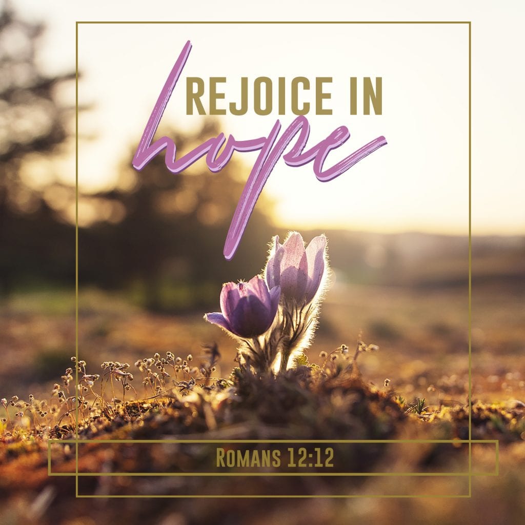 Rejoice in Hope